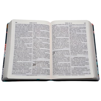 image_2a006c8a-d5a0-4df8-a6e9-a58a6d131400