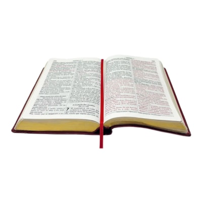 image_840bf27b-4cb6-42e7-b232-edf2aac9ab78