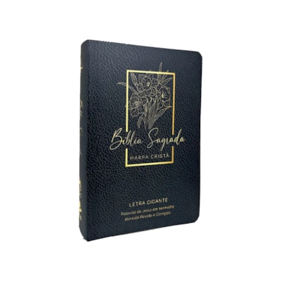 image_e8daebaf-1c18-4b64-8d76-00a7cb72a887