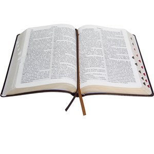 Bíblia Sagrada | ARC | Letra Gigante | Marrom Nobre C/ Índice
