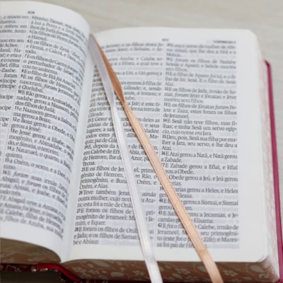 image_c1128949-7181-480e-a2d9-2b18156d8a84