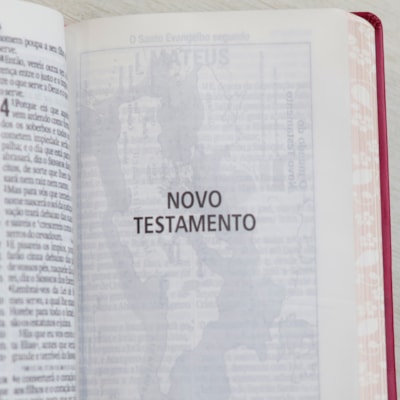 image_82be7050-2236-46b4-81f1-a55a7a36a40c