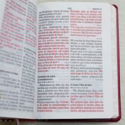 image_42ddd640-e8d2-4014-81d8-46b4c9656136