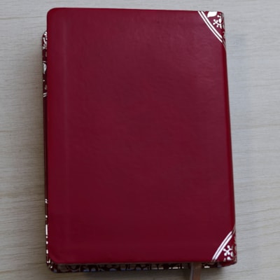 image_347f4693-d51f-4617-98ba-1e546577ecb5