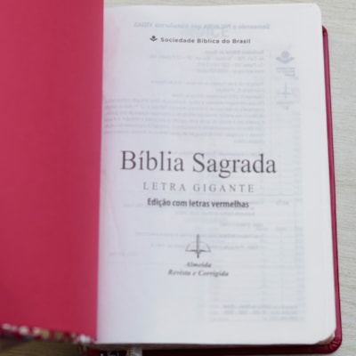 image_6bee55e3-e257-482e-9f29-ee928109053d