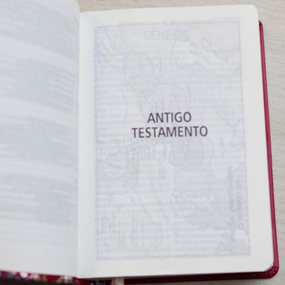 image_2cca8cae-08a1-41ef-a82d-6b6820c71c64