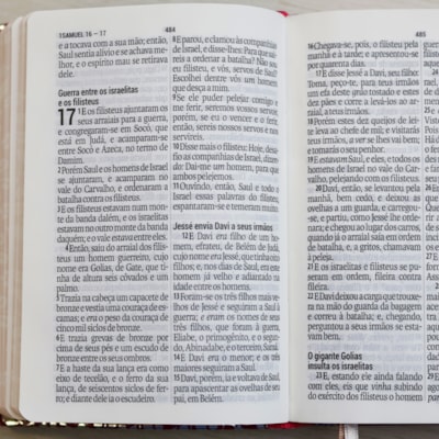 image_4d5bbbd9-8770-40b2-9bc6-1c1bd6c13f5d