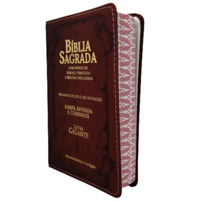 image_196bbddc-45b0-441e-bde7-2a0d12b8f9aa