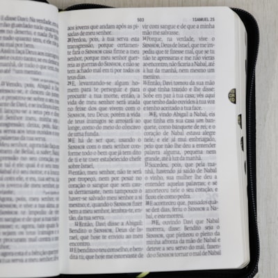 image_84f5b23a-1ef5-4958-ac9b-0d4e9b7799ec