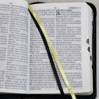 image_82fc8724-3351-44b8-9aa3-ae2a4245ed57