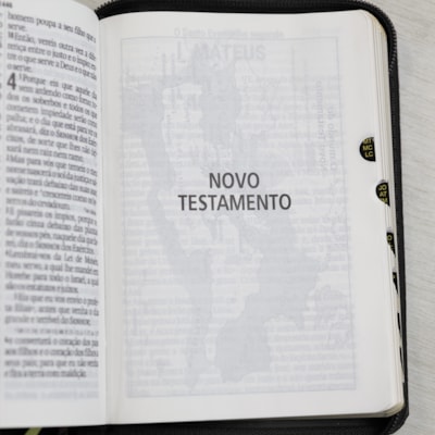 image_3309b2ba-50e8-43b8-ac54-919f1b0f06d0