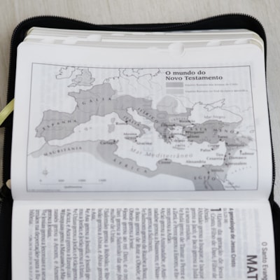 image_ac34e90d-b7ff-45f0-bca4-c00fd77d99cd