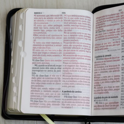 image_543a6f93-0180-44d8-848c-da486f8bda3c