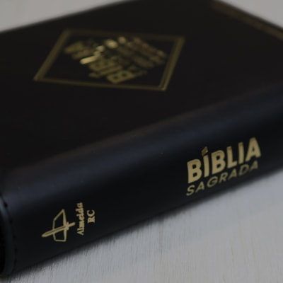 image_ae3decb6-4e5f-4dd1-bf75-a0ba8d99dc33