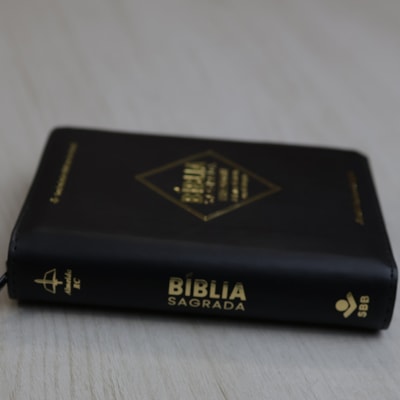 image_acb3e656-0e5f-497f-beb6-8e9c1d439d50