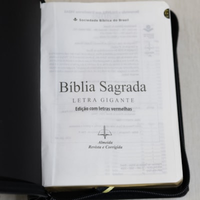 image_22885484-848d-436a-9906-36d3f711c5e1