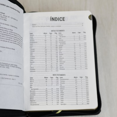 image_ddf0d9ca-b26e-4dac-a335-a41c1e19585e