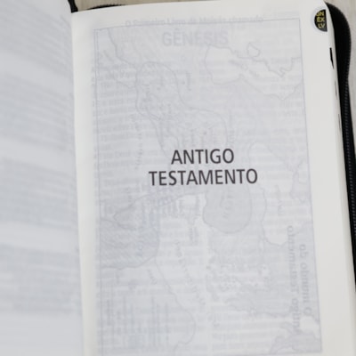 image_f98c6d70-c0ba-4445-a24c-e1e35b5aa512