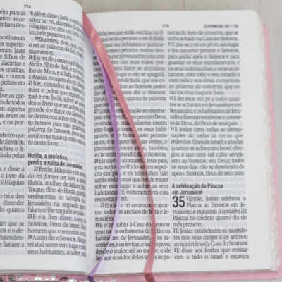 image_405630da-6f86-41d3-8672-bd66ec1f9dbb