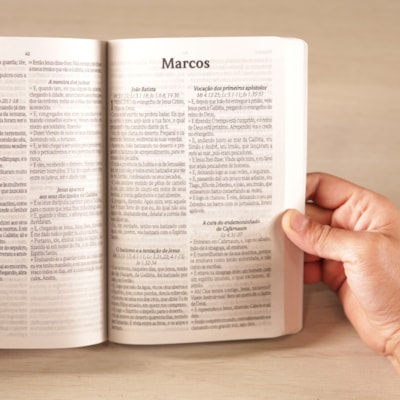 image_5974c0d8-4f7c-4e96-88e9-d14c4d513ad1