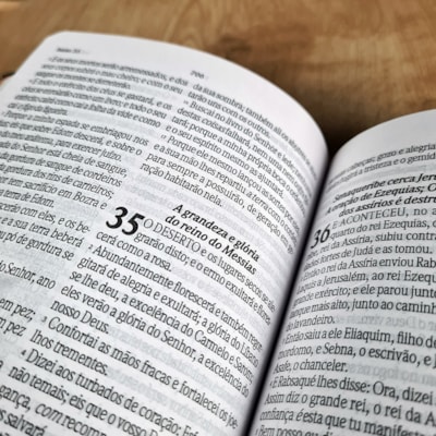 image_205c0990-4e56-44fa-a089-820ec8bb6036