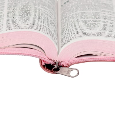 image_f5266ef7-4221-4e54-83ab-6fad901a17d9