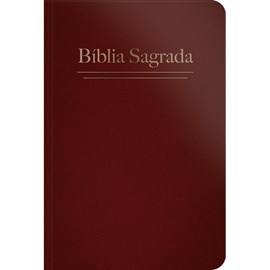 Bíblia Sagrada | ARC | Letra Grande | Capa Semi Luxo Telha