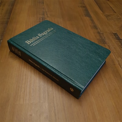 image_9d372dc7-63a2-4975-8d87-b525550366cf