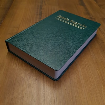 image_40a04ce1-410b-4e57-8a8d-80aa4bb7cabf