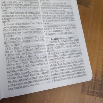 image_a0864f12-49f0-44e5-a868-a9f072c07aa9