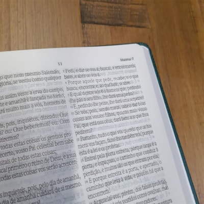 image_ba0dfae8-95c5-4ee2-a4d3-5a0a076d78fc