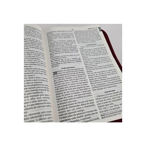 Bíblia Sagrada | ARC | Letra Grande | Capa Vinho Luxo c/Ziper