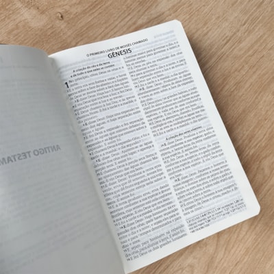 image_7e8f2bd8-4de8-48dc-9790-6092630e8c06