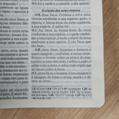 image_e16f4001-8aee-4824-8c5b-0380ed594073