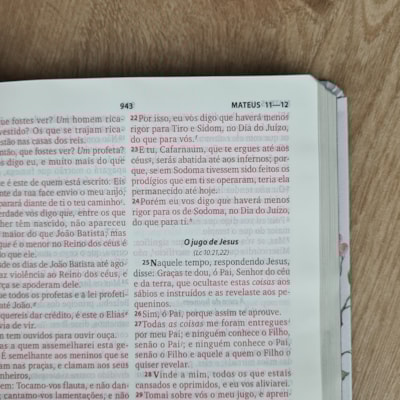 image_281501c5-f0ac-4f26-a5be-3afdc56d10b6