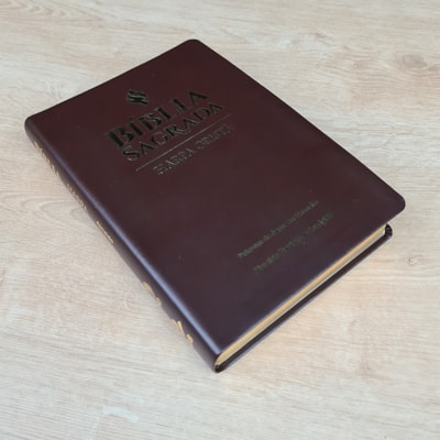 image_b05b2a3f-4987-446f-a679-07766fc6d158