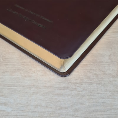 image_0e896fcf-f9b9-47df-966c-4ed5ce609df2