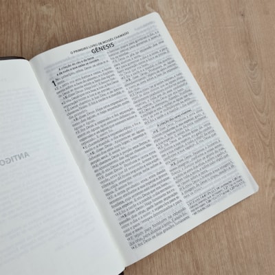 image_420e0bda-eb1f-4296-a4a6-1307895dffc6