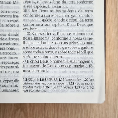 image_5290ad49-854a-4d63-b006-04790521d301