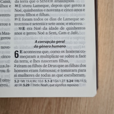 image_ef062635-41ad-4a92-be75-33ff58367477