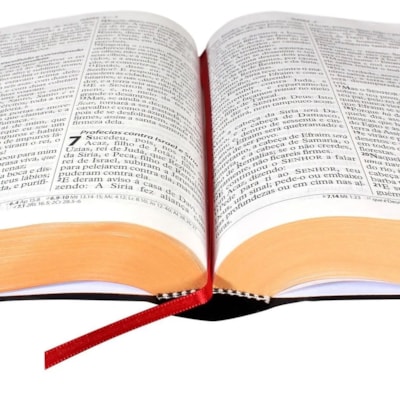 image_0873e24f-fb5f-4fd8-a380-742a5dbb900a