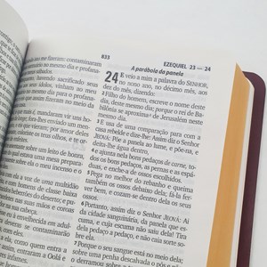 Bíblia Sagrada | ARC | Letra Grande | Harpa Cristã | Capa Rosa