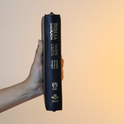 image_1c382685-7cfc-473a-b2e7-caadd7919328