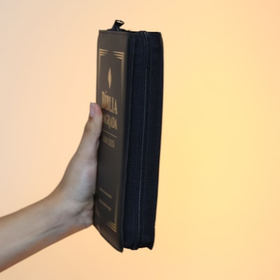 image_c58de1f4-fad2-463c-8c28-c8d265571663