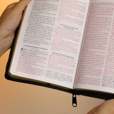 image_d6a7990f-68f3-4177-a336-b2c95904d485