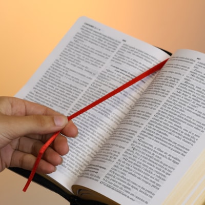 image_de713634-2be7-4c31-98a2-715841f38dcc