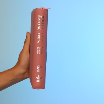 image_c6156132-b1b3-4ca0-ba65-9ff958ce741f