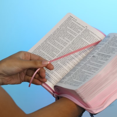 image_cfcfd777-5013-4d89-8513-09b863fbffea