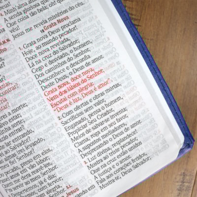 image_73c2596d-97c6-4e41-bd35-39a50cf408ca