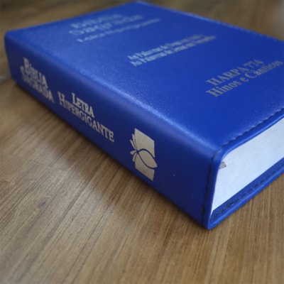 image_78d350a7-eae7-4fc8-a4e1-40418a87964c